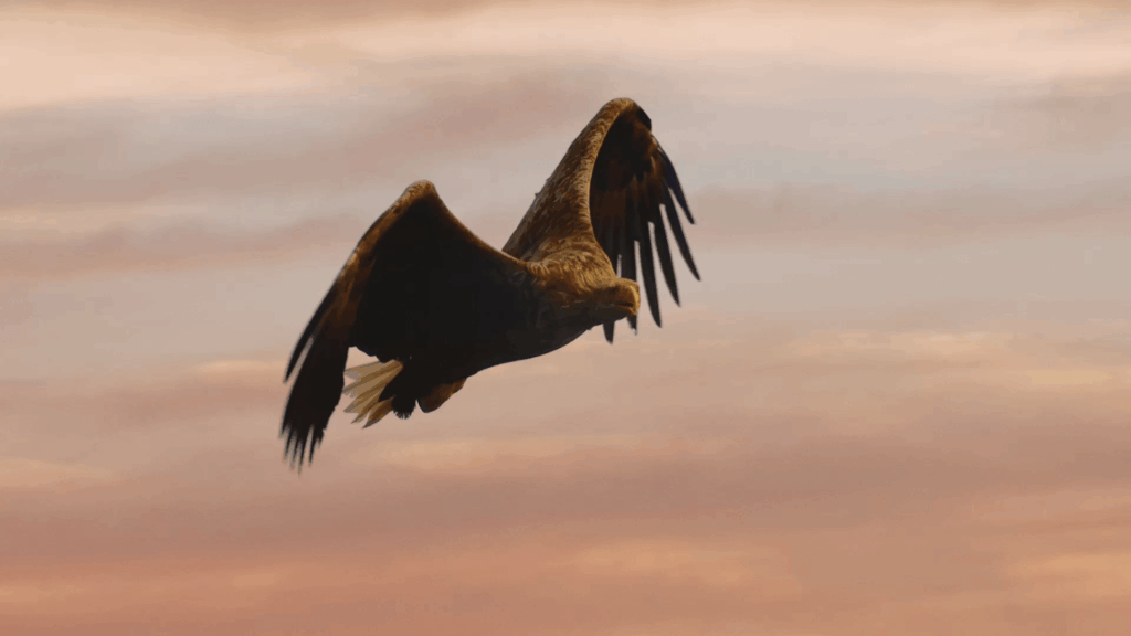 16x9 UNINHIBITED_TOP_BANNER-min