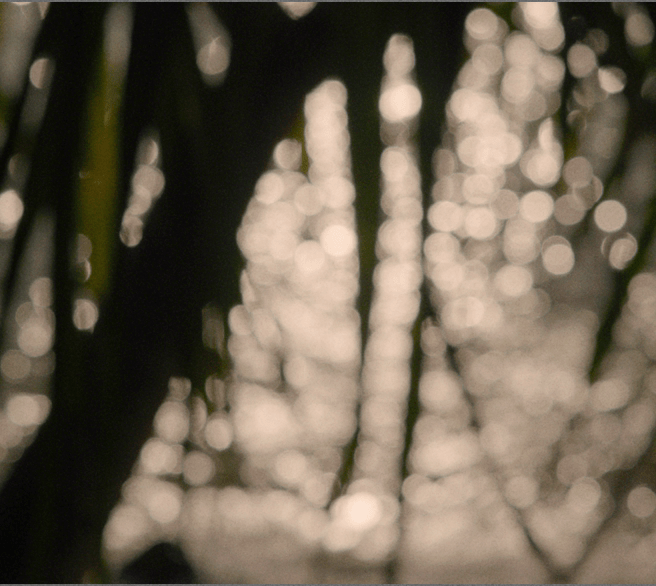 657x587 TEXTURES-min